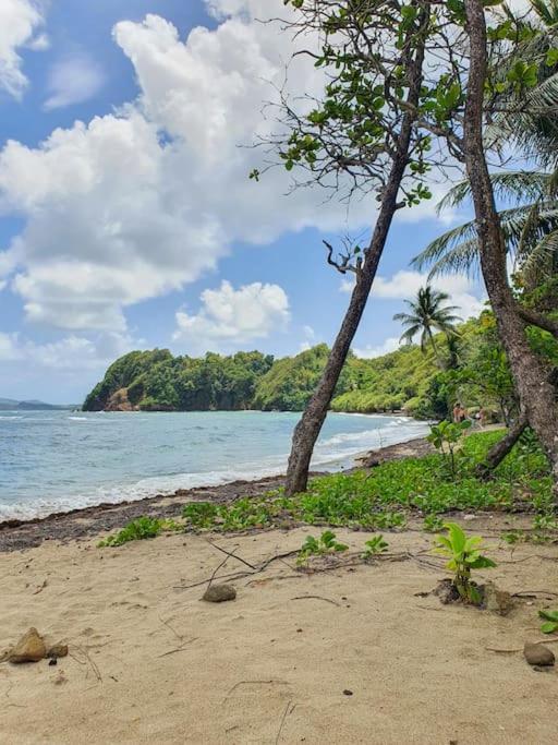 Vila Kaza Malessa Sainte-Marie Exteriér fotografie